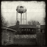 All images © Robert Kalman. All rights reserved.