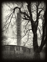 All images © Robert Kalman. All rights reserved.