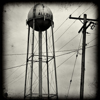 All images © Robert Kalman. All rights reserved.